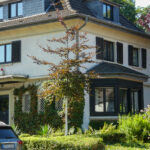 303 R.Z.Str. Blutbuche_T.KL